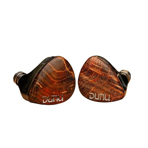 DUNU x Gizaudio Da Vinci IEM 2DD+4BA、デュアル ダイナミックおよび 4 バランスド アーマチュア ドライバー ハイブリッド インイヤー イヤホン HiFi、5 ウェイ周波数クロスオーバー (Da Vinci)