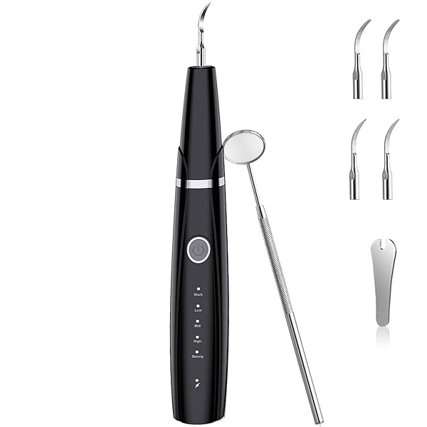 超音波歯クリーナー 口腔洗浄器 USB 充電式 5モード調節可能 内蔵LED照明 クリーニングキット IPX6防水