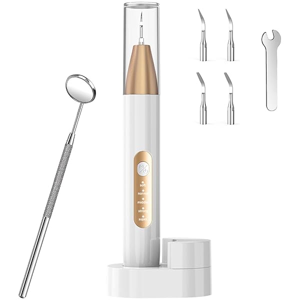 超音波歯クリーナー 歯間クリーナー 口腔洗浄器 USB 充電式 携帯用歯清潔器 5モード調節可能 LEDライト..