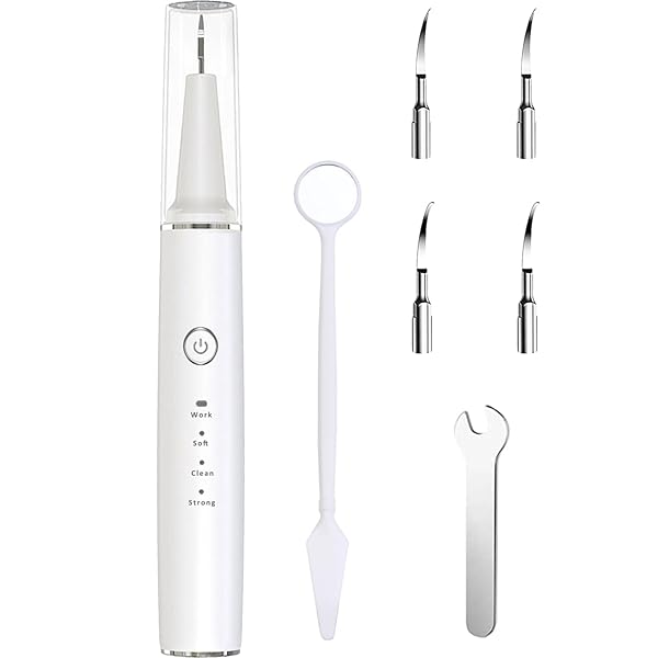 超音波歯クリーナー 口腔洗浄器 USB 充電式 家庭用携帯用歯清潔器 内蔵LED照明 IPX6防水