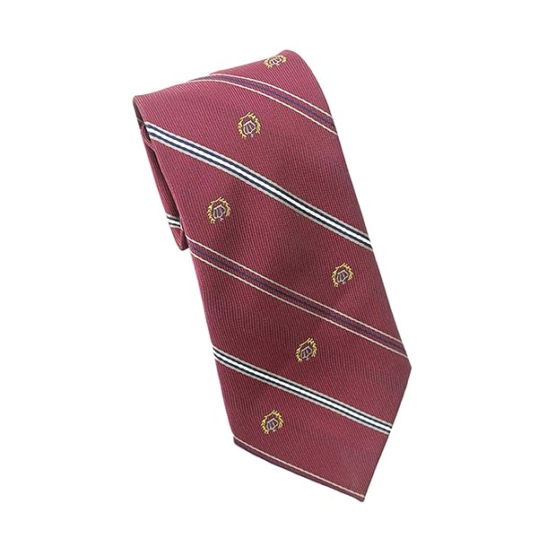 制服 リボン ネクタイ 学生服 小物 DK JK スクールリボン 中学生 高校生 男子 女子 多色 (レッド-ネク..