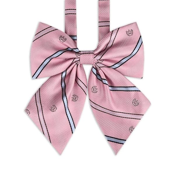 制服 リボン ネクタイ 学生服 小物 DK JK スクールリボン 中学生 高校生 男子 女子 多色 (ピンク-リボン)