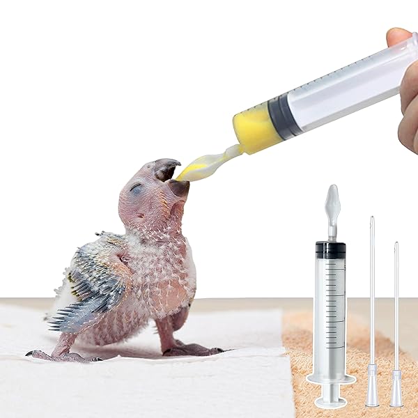 鳥類に食べさせるキット スプーンとシリンジ オウムのスプーン 鳥用スプーン インコ スプーン 給餌スプーン オウムの粉乳スプーン 粉ミルク 水やり 餌やり ひな給餌 漏れない オウム給餌 中小鳥用 軽量