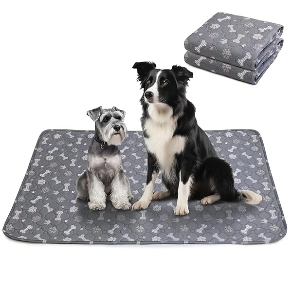 ڥåȥ   ǭ ڥå äޥå ߤ ڥåȥޥå ߤ ɿ ® ý Ҹ/˥β ֤Ѳǽ ¿Ƭ...