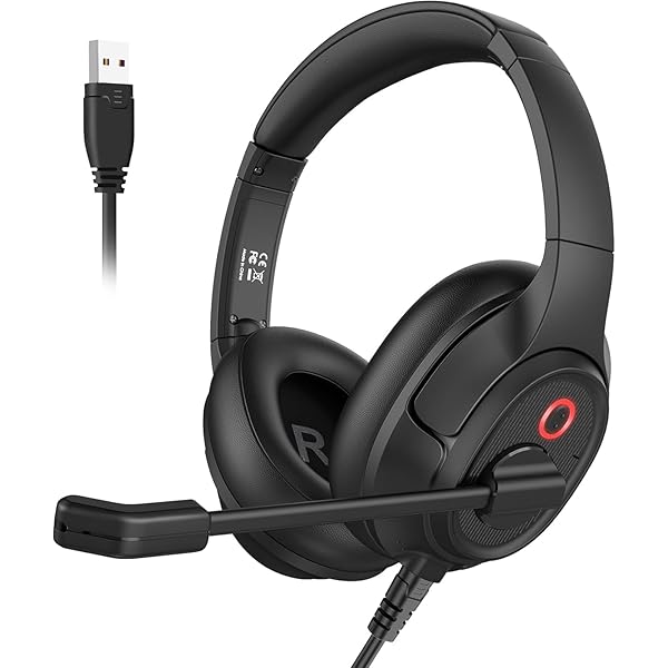 H2 ヘッドセット USB有線接続 通話ノイズリダクション マイク搭載 PC用ヘッドセット ビジーライト付き ミュート機能 手元コントローラー WEB会議 テレワーク リモートワーク 在宅勤務 ビジネス ボイスチャット パソコン用 wechante-10201886 彩り堂 パッケージ画像