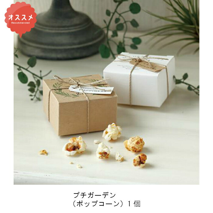 プチガーデン(ポップコーン)1個 1419 270円 プチギフト 結婚式 披露宴 2次会 パーティー 御菓子 安い 割引 激安 かわいい おすすめ ポップコーン