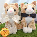 【世界に一つ】ウェルカムドール 手作り ねこ ネコ 猫 茶トラ 完成品 2体セット 結婚式 ウェルカムネコ ウェディングドール ウエディング ペア ぬいぐるみ 電報 祝電 結婚祝い 結婚記念日 贈り物 おしゃれ かわいい 人気 ギフト プレゼント ハンドメイド