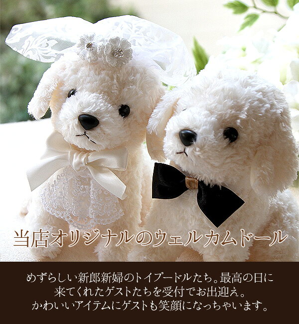 �ڥ�˥塼����ۥ����륫��ɡ��� ������ ���� �ȥ��ס��ɥ� �ۥ磻�� �� ������ 2�Υ��å� �뺧�� �����륫��ɥå� �����ǥ��󥰥ɡ��� �ڥ� �̤������ ���� ���� �뺧�ˤ� �뺧��ǰ�� £��ʪ ������� ���襤�� �͵� ���ե� �ץ쥼��� �ϥ�ɥᥤ��