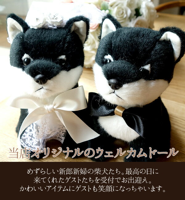�ڥ�˥塼����ۥ����륫��ɡ��� ������ ���� ���� �Ƹ� �� ������ 2�Υ��å� �뺧�� �����륫��ɥå� �����ǥ��󥰥ɡ��� �����ǥ��� �ڥ� �̤������ ���� ���� �뺧�ˤ� �뺧��ǰ�� £��ʪ ������� ���襤�� �͵� ���ե� �ץ쥼��� �ϥ�ɥᥤ��