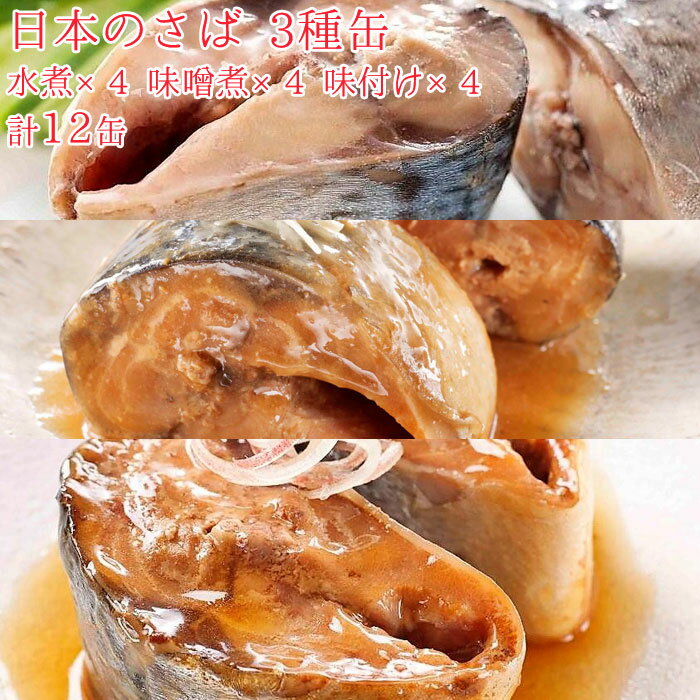 缶詰 魚 防災 鯖缶 3種缶 水煮缶 味噌煮缶 味付け缶 各4缶 セット 12缶 宝幸 日本のさば HOKO サバ缶 鯖 サバ さば 魚缶 12缶セット 缶詰め 缶づめ おつまみ ご挨拶 ご進物 手土産 内祝 ギフトセット 非常食 一品料理