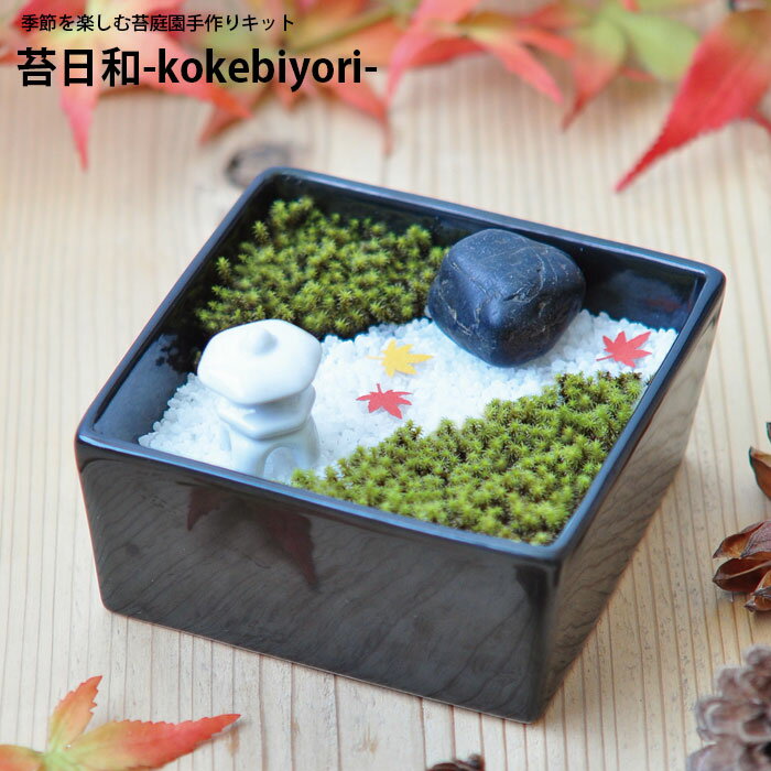 栽培キット 室内 苔 苔日和 テラリウム 苔キット GD-759 ガーデニング コケ 癒し 鑑賞 盆景 工作 手作り インテリア おしゃれ 大人 趣味 夏休み 体験 かわいい 置物 プチギフト 植物 インドア 楽しい プレゼント ギフトのサムネイル