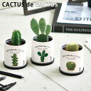 栽培キット 室内 サボテン CACTUS de CACTUS カクタスdeカクタス 丸サボテン 柱サボテン 種 ウチワサボテン かわいい グリーン おしゃれ イ...