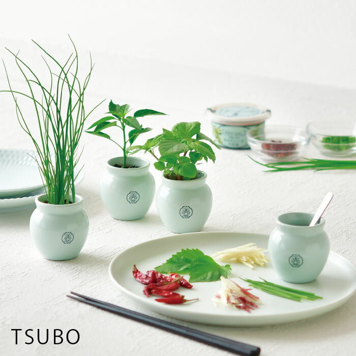 栽培セット 室内 薬味 TSUBO しそ 唐辛子 ねぎ GD-998 壺 栽培 栽培キット セット かわいい おしゃれ 家庭菜園 和風 食育 観葉植物 植物 ガーデニング 食べられる 自由研究 観察 調味料入れ 小物入れ プチギフト 贈り物 プレゼント ギフトのサムネイル