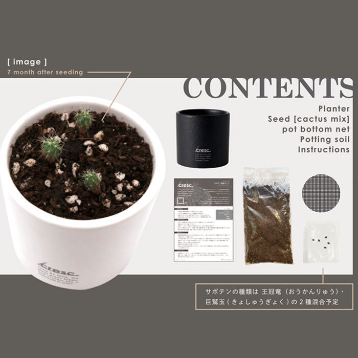 ���ݥ��å� ���� �ݥ��ܥƥ� ���ܥƥ� cresc. ����å������ �� �ۥ磻�� ���꡼�� �֥�å� ������� ��ʪ ���襤�� �θ� ����ƥꥢ ��ʪ �վ� ��ñ �ڤ��� �ץ����ե� ���ե� �ץ쥼���