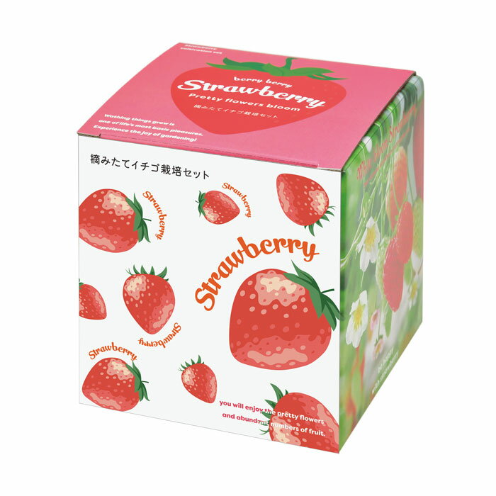栽培キット いちご 栽培セット 室内 摘みたてイチゴ GD-1000 ガーデニング 家庭菜園 食育 苺 育てる 趣味 おしゃれ 小学生 子供 体験 キット プランター かわいい プレゼント プチギフト ギフト