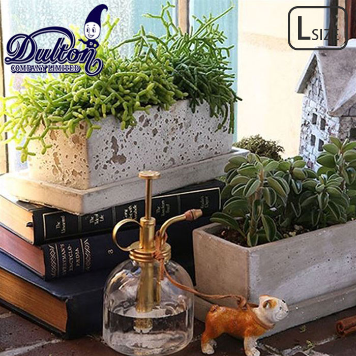 DULTON ダルトン プランター ソリッド レクタンブル Lサイズ A555-426L 植木鉢 園芸用品 鉢 コンクリート製 お庭 庭 玄関 お部屋 室内 屋外 おしゃれ インテリア コンパクト 底穴 下皿付き