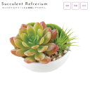 人工観葉植物 消臭アーティフィシャルグリーン B サキュレントリフレリウム 丸型 造花 フェイクグリーン インテリアフラワー 人工 アートフラワー フェイク 多...