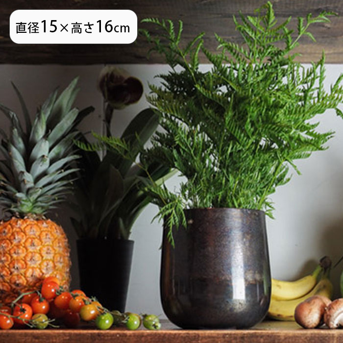 Rakuten - 植木鉢 鉢カバー 観葉植物 AM4ベース プランター プラントポット 植物用ポット 花器 ポット 植木鉢カバー 丸 植物 花瓶 花 園芸 インテリア 軽量 金属 アルミ 底穴なし