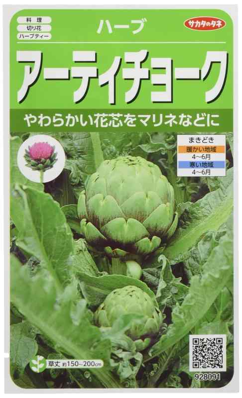 サカタのタネ 実咲ハーブ928091 アーティチョーク