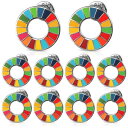 Aoouik SDGs ピンバッジ SDGs バッジ 25mm 最新仕様 国連本部販売 琺瑯工芸 銀色