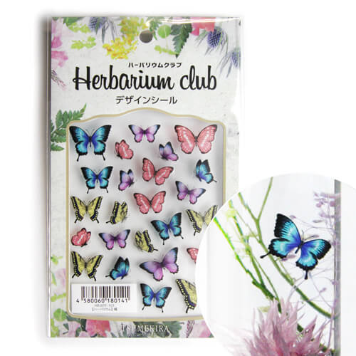 Herbarium club(ハーバリウムクラブ) 蝶 ★ ハーバリウムシール