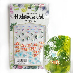 Herbarium club(ハーバリウムクラブ) 熱帯魚 ★ シール