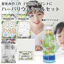 【ハーバリウムシール 工作セット】ハーバリウムクラブ シール 2枚(熱帯魚・海月) & 透明シート & ボトルラベルシール Herbarium 白 4点セット ...