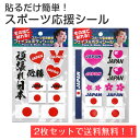 【送料無料】フェイス&ボディシール 2枚セット 【スポーツ応援 日本 & スポーツ応援2 日本(ピンク)】 FB-OEN-101 FB-OEN-102