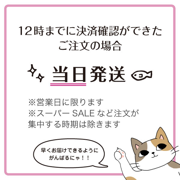 とびつく猫 レジン枠〈ゴールド〉ハンドメイド ...の紹介画像3