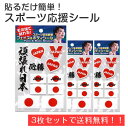 【送料無料】フェイス&ボディシール スポーツ応援 日本 3枚セット FB-OEN-101