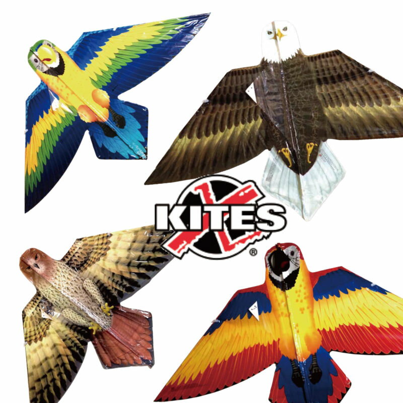 凧 カイト X-Kite ポリカイト Birds of a Feather バーズオブフェザー 凧揚げ 凧あげ お正月のサムネイル