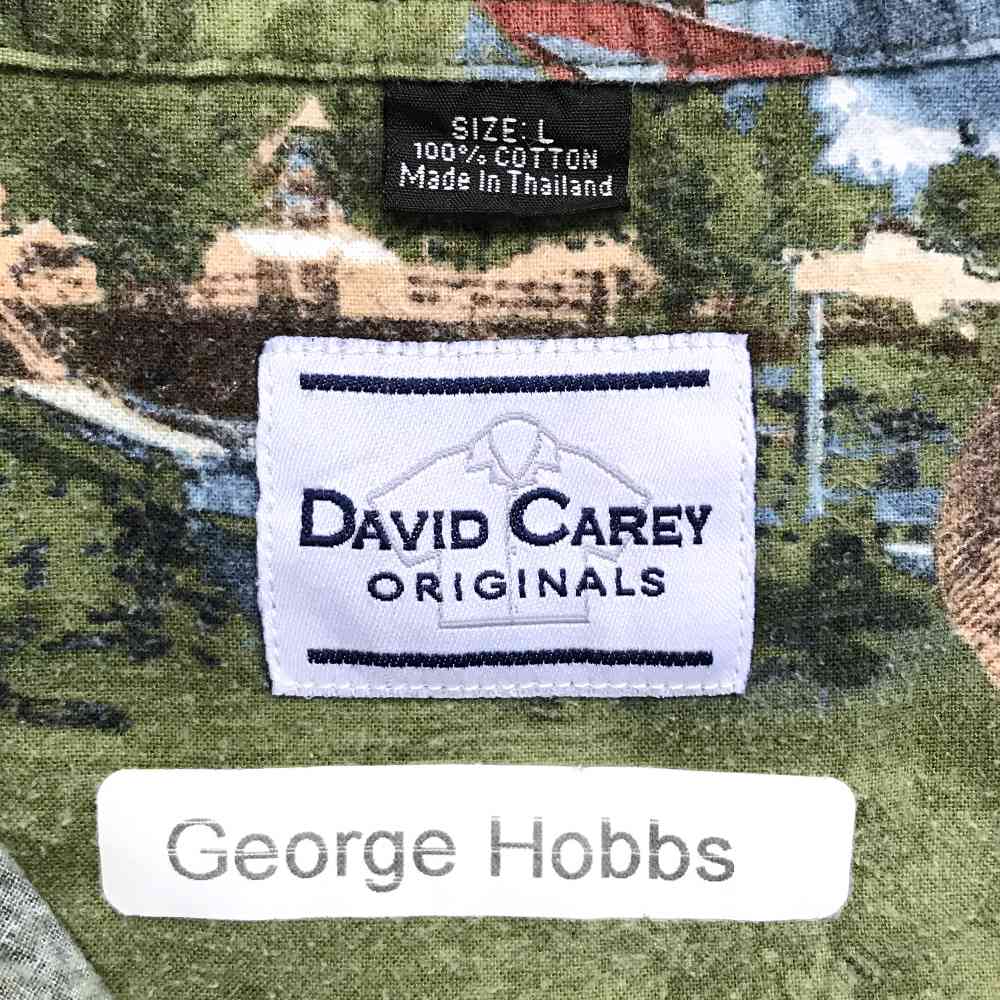 DAVID CAREY 柄シャツ サイズ表記 L グリーン 総柄 長袖 アラスカ Alaska ビッグサイズ ビッグシルエット green 緑 古着【中古】wv2101-1897