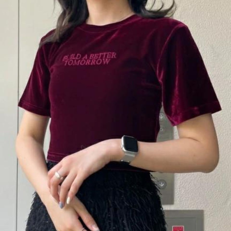ポイント5倍★【SALE2749円→1999円】ベロアT Tシャツ レディース トップス カットソー 半袖 ベロア ワンポイント 秋服 WEGO ウィゴーのサムネイル