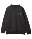 【SALE 4399円→2199円】ストレートラインロゴグラフィックプルオーバー スウェット トレーナー バックロゴメンズ レディース ユニセックス トップス ...