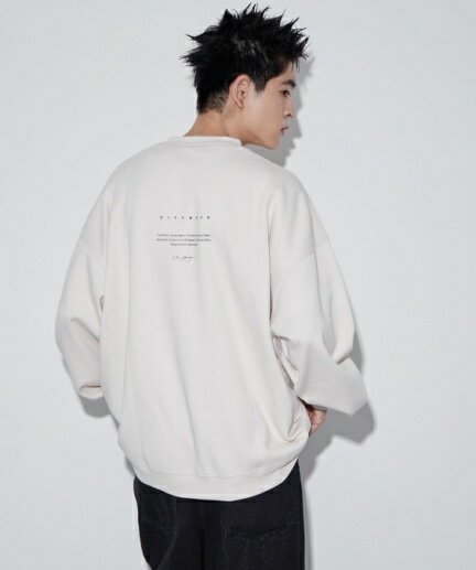 CITYBOYSプルオーバー スウェット メンズ 長袖 ワンポイント バックロゴ 冬 秋 WEGO ウィゴー