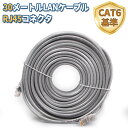 WEILAILIFE LANケーブル 30m RJ45コネクタ CAT6準拠 イーサネットケーブル 有線ケーブル 企業様向け 業務用 屋外用 カテゴリ6 やわらか 超高速