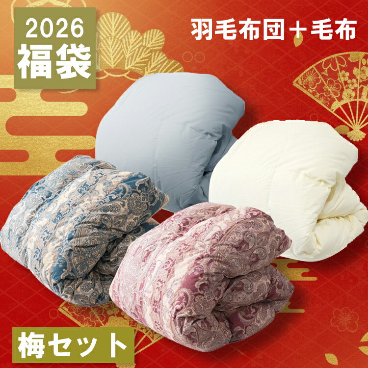 【マラソン限定クーポン！】羽毛布団 毛布 掛け布団カバー 敷きパッド シングル 福袋 2026 毛布になる 掛け毛布 吸湿発熱 静電気防止 抗菌 防臭 ホワイトダックダウン 90％ 冬 洗える 暖かい おしゃれ かわいい