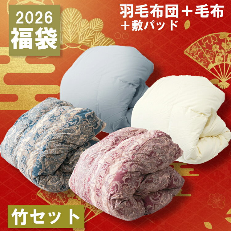 【マラソン限定クーポン！】羽毛布団 毛布 掛け布団カバー 敷きパッド シングル 福袋 2026 毛布になる 掛け毛布 吸湿発熱 静電気防止 抗菌 防臭 ホワイトダックダウン 90％ 冬 洗える 暖かい おしゃれ かわいい