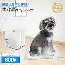 【目玉特価!】ペットシーツ 薄型 犬 トイレシート レギュラー 800枚 多頭飼い 大容量 まとめ買い ペットシート 薄型ペットシーツ 業務用 ケース ペット用...
