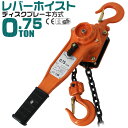 【10%OFFクーポン配布中】レバーホイスト 750kg （0.75ton） チェーンホイスト 手動式 荷締機 ［荷締め 荷締め機 レバー ホイスト ジャッキ チェーン ガッチャ チェンブロック チェーンブロック］A20B075