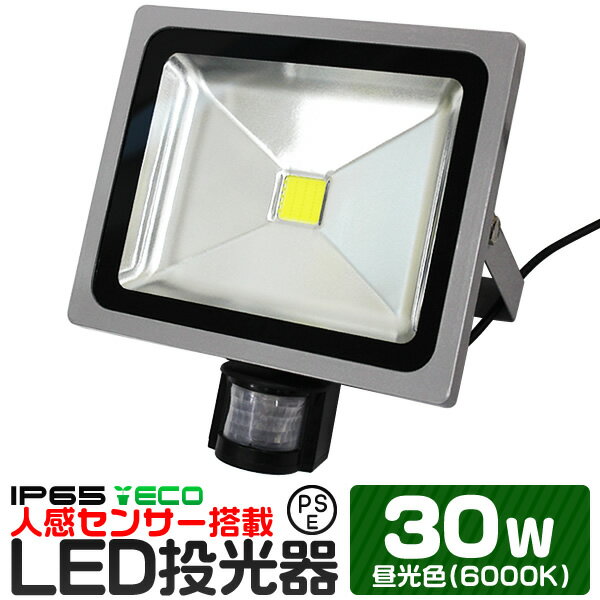 LED 投光器 30W 人感センサー 昼光色 防水 作業灯 