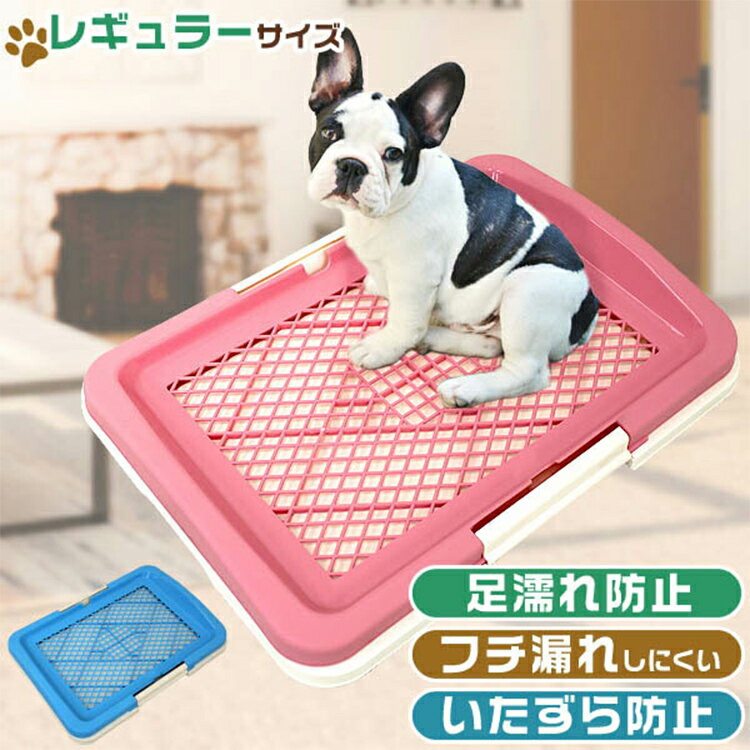 【スーパーSALE価格】【足濡れ防止】犬 トイレトレー 幅47cm すのこ付き いたずら防止 トレータイプ レギュラーサイズ いたずら防止 犬用 小型犬 中型犬 トイレ容器 トレー メッシュ しつけ ペット用品 トイレ用品 ペットトイレ 犬用トイレ