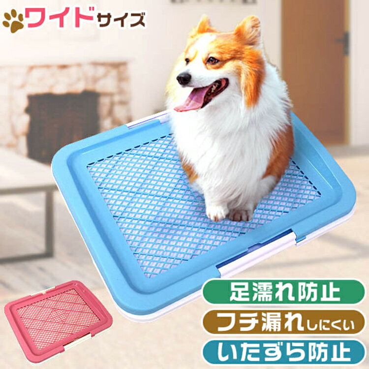 【P10倍 SS限定】犬 トイレ トレー 犬用トイレ トイレトレー ワイドサイズ いたずら防止 フチ漏れ防止 小型犬 中型犬 犬 ドッグ トイレ容器 トレー メッシュ しつけ用ステップトレー しつけ 室内 ペット用品 トイレ用品 オス メス