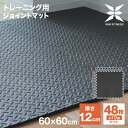 【限定クーポン配布中】ジョイント トレーニングマット 大判 60cm 厚さ1.2cm 48枚セット ジョイントマット トレーニング エクササイズ ヨガ マット ...