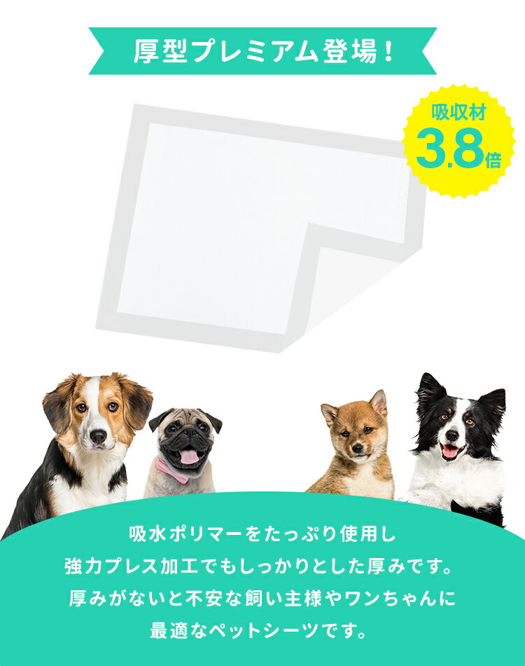 【10%OFFクーポン配布中】【公式】【目玉特価】ペットシーツ 厚型 厚手 レギュラー...