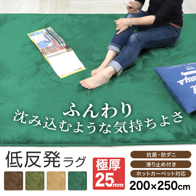 【P10倍 30日迄】ラグ マット 洗える 低反発 200×250cm 約3畳 オールシーズン 極厚 厚さ 25mm マイクロファイバー 防音 フランネルラグ 滑り止め 軽量 ラグカーペット カーペット 絨毯 四角 オールシーズン 秋 冬 床暖房 ホットカーペット対応