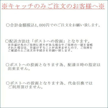 落ちないピアスキャッチK10WG/YG/PGシリコンダブルロックキャッチ0.7mm国内最安値ピアスキャッチゆうメール便送料無料日本製ピアスキャッチ10金K10ホワイトゴールドイエローゴールドピンクゴールドダブルロックまとめ売り予備年間50,000ペア販売実績最安値販売1個100円