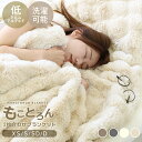 【本日限定クーポンで11%OFF】毛布 とろとろ ふわとろ毛布 ふわもこ毛布 もこもこ毛布 2枚合わせ ブランケット ふわふわ シングル セミダブル ダブル 洗...