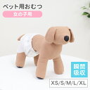 【最大10%OFFクーポン】犬用おむつ 女の子 ペット 犬用 オムツ カバー 小型犬 小型犬 中型犬 テープ付き 紙オムツ 高齢犬 お出かけ 介護 生理 ナプキ...
