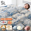 【本日限定クーポンで10%OFF】羽毛布団 シングル 日本製 暖か30マスキルト ホワイトダックダウン ダウン85% 抗菌 300dp以上 布団 掛け布団 掛布...